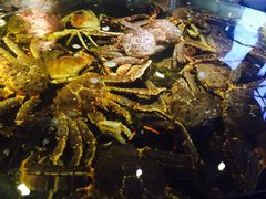 -蟹之国·精品蟹料理(极地店)