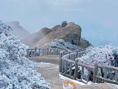 -天柱山风景区