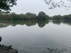 -西湖游船