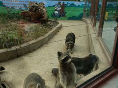 -石家庄市动物园