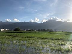 -老渔家白族石板烧旗舰店