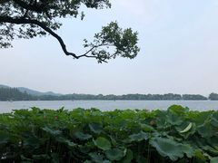 -郭庄茶室