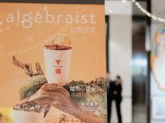 -代数学家algebraist(诚品店)