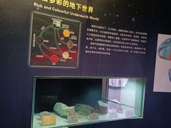 -陕西自然博物馆