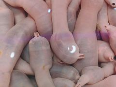 -老虎滩船说·海胆水饺·大连海鲜(老虎滩店)
