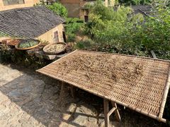 -杨家堂村