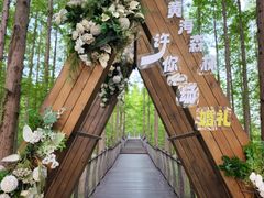 -黄海国家森林公园