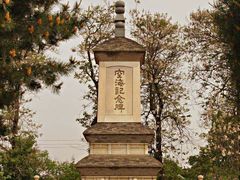 -西安青龙寺遗址景区