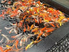 -太子园林酒家