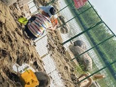 -大兴滨河森林公园