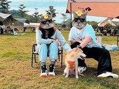 -风云岭森林公园