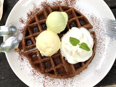 双球冰淇淋配华夫饼-莓园冰淇淋店