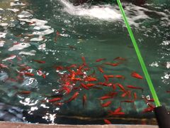 -锦艺城海洋馆