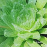 入坑3年 感谢你们的陪伴