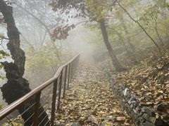 -北京上方山国家森林公园