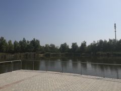 -永定河休闲森林公园