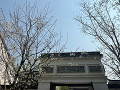 -长风拨筋养身(蟠龙天地店)