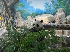 -扬州市茱萸湾风景区