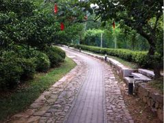 iphone_upload_pic-雨花胜境