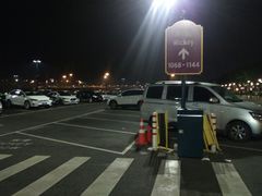 场地-迪士尼乐园停车场