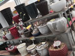 -龙大花卉苗木市场