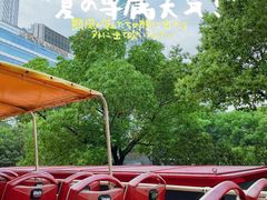 -BUS TOUR观光巴士