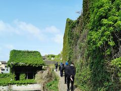 -枸杞岛