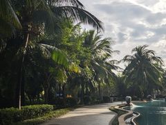 -三亚海棠湾喜来登度假酒店