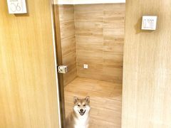 -Double Rui宠物酒店