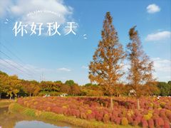 -花开海上生态园
