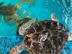 -成都浩海立方海洋公园