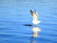 -丽江泸沽湖景区