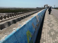 -南汇嘴观海公园