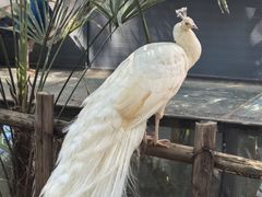 -昆明动物园