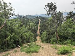 -青龙山国家森林公园