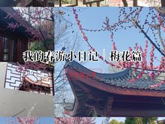-堤角公园