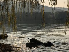 -长广溪湿地公园
