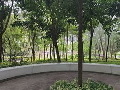 -中山市树木园