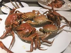 -都会尚膳·海鲜自助餐厅(重庆万豪酒店)