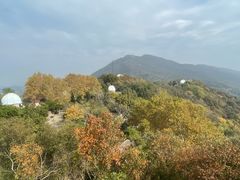 -紫金山天文台