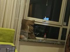 -北京东直门智选假日酒店