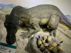 -国家自然博物馆