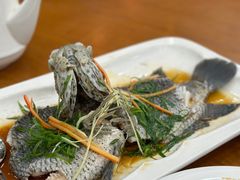 -大地土窑菜馆·特色罗浮农家菜(罗浮山景区店)