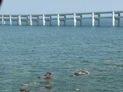 -黑石礁公园