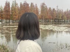 -白鹭湾湿地公园