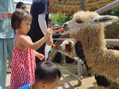 -西霞口神雕山野生动物世界