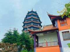 -铁山坪森林公园