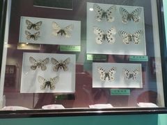 -上海昆虫博物馆