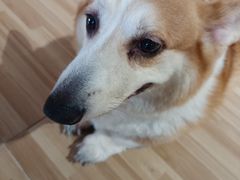 -喵小馆·猫咖狗咖猪咖·饮品店