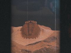 -上海自然博物馆